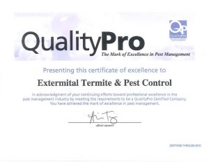QualityPro Certificate