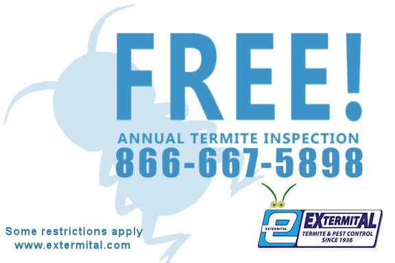 Free Termite Inspection service