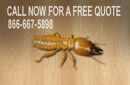 Extermital Termite & Pest Control